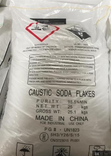 Caustic Soda-Processing Chemicals