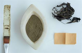 Natural Dyes Powder