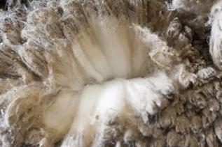 Brown, Drum Salted, Merino Sheepskin