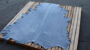 Light Blue, -, Cow Wet Blue Split Leather