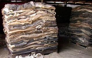 Brown, Black, Grey, -, Crust