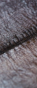 Black, Brown, White, Abrasion-Resistant, Cow Finish