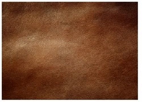 Buffalo Finished Leather