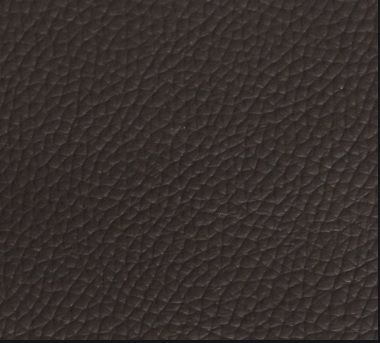 Automotive Leather