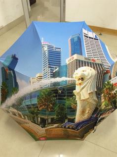 Printed Polyester Umbrella