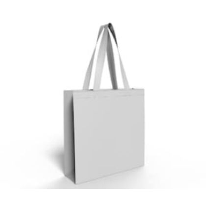 Non Woven Bag