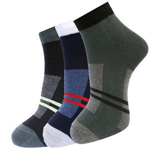 Men Multicolored Socks