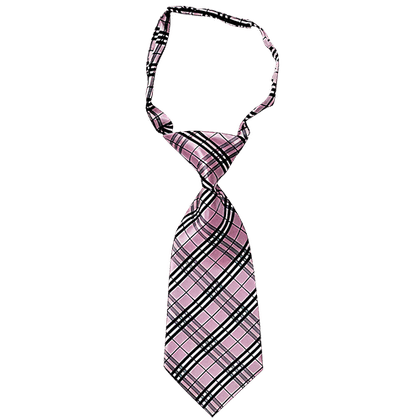 Women Stylish Tie
