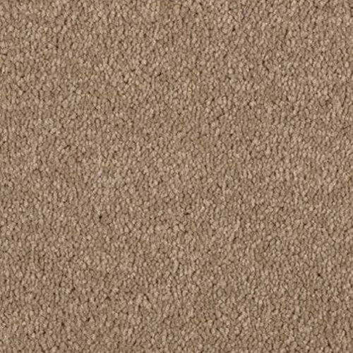 Polypropylene Carpet