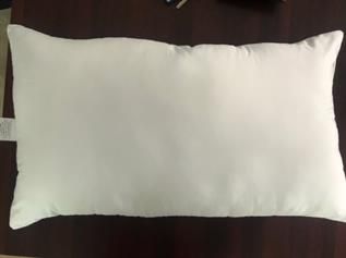 Waterproof Pillow