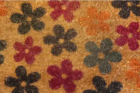 Sisal or Coir Carpets