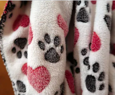 Printed Blankets
