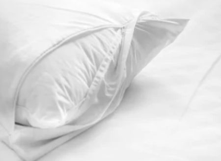 White Pillow Covers