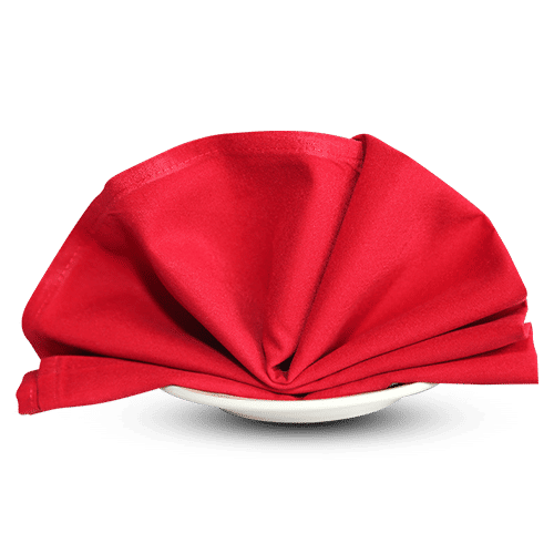 Woven Table Napkins