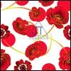 Nylon fabric