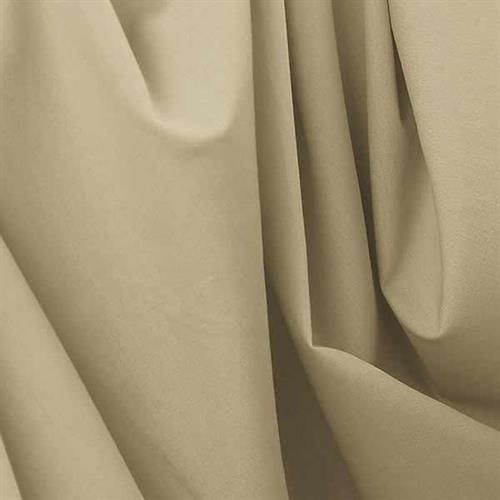 Tencel Fabric : 60-130 gsm, Greige, Plain Suppliers 17124499
