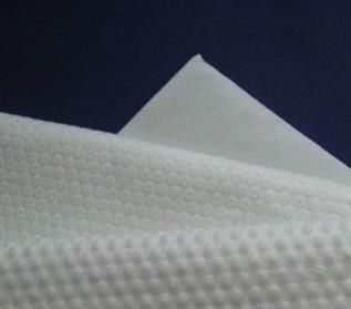 Spunlace Nonwoven Fabric