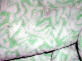 Jacquard Terry Fabric