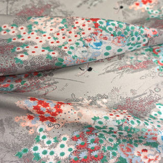 Printed Silk Fabric