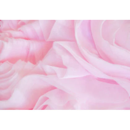 Plain Organza Fabric