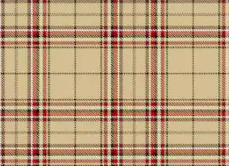 Viscose Gold Printed Fabric