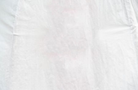 Ramie Plain Fabric