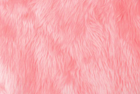 Fur Fabric