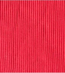 Double Jersey Fabric