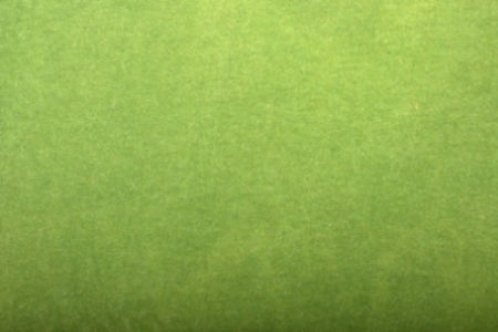 Ramie Woven Fabric