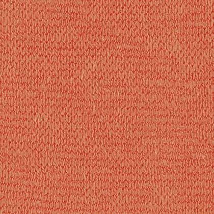 Knitted Single Jersey Fabric