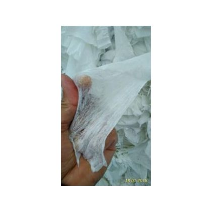 Carded Nonwoven Fabric