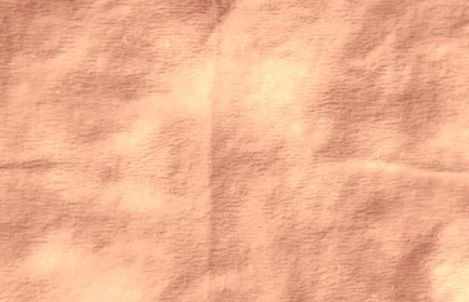 Cotton Bleach Fabric