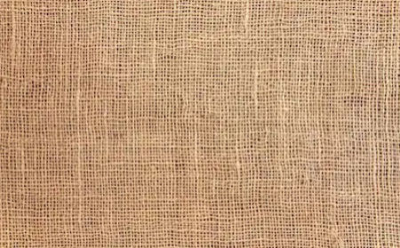 Raw Jute Fabric