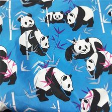 Calico Printed Fabric