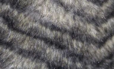 Artificial Fur Fabric