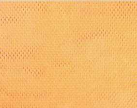 Spunlace Nonwoven Fabric