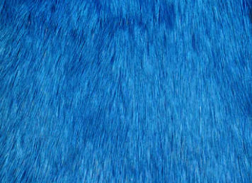Fur Dyed Fabric