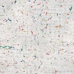 Printed Cotton Fabric