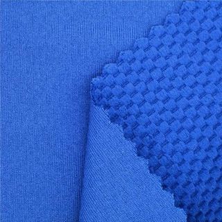 Polyester Activewear Fabric