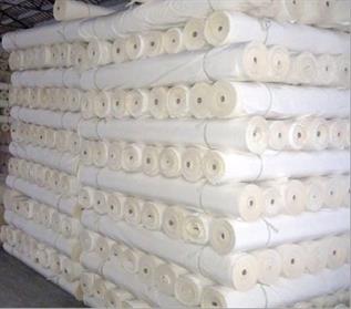 Polyester Greige Fabric