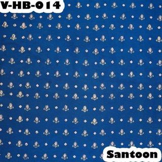 Santoon Fabric