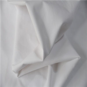 Blended Woven Fabric-Woven Fabric