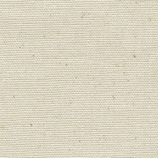 White Canvas Fabric