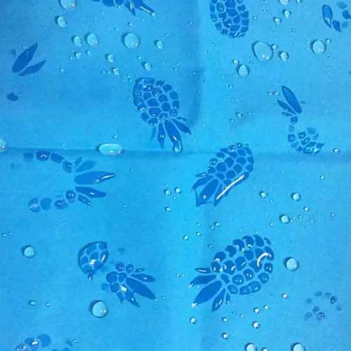 Water Repellent Hydrochromic Print Fabric
