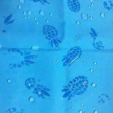 Water Repellent Hydrochromic Print Fabric