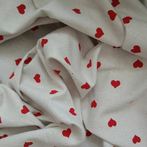 Cotton Printed Fabric