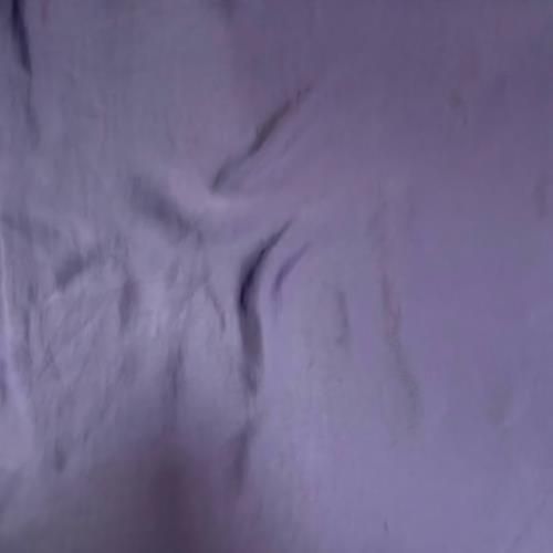 Woven Polyester Fabric