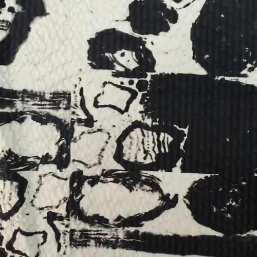 Woven Jacquard Fabric