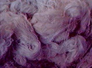 Greige & Dyed, For Making PSF, Polyester Filament