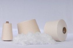 Polyester Yarn